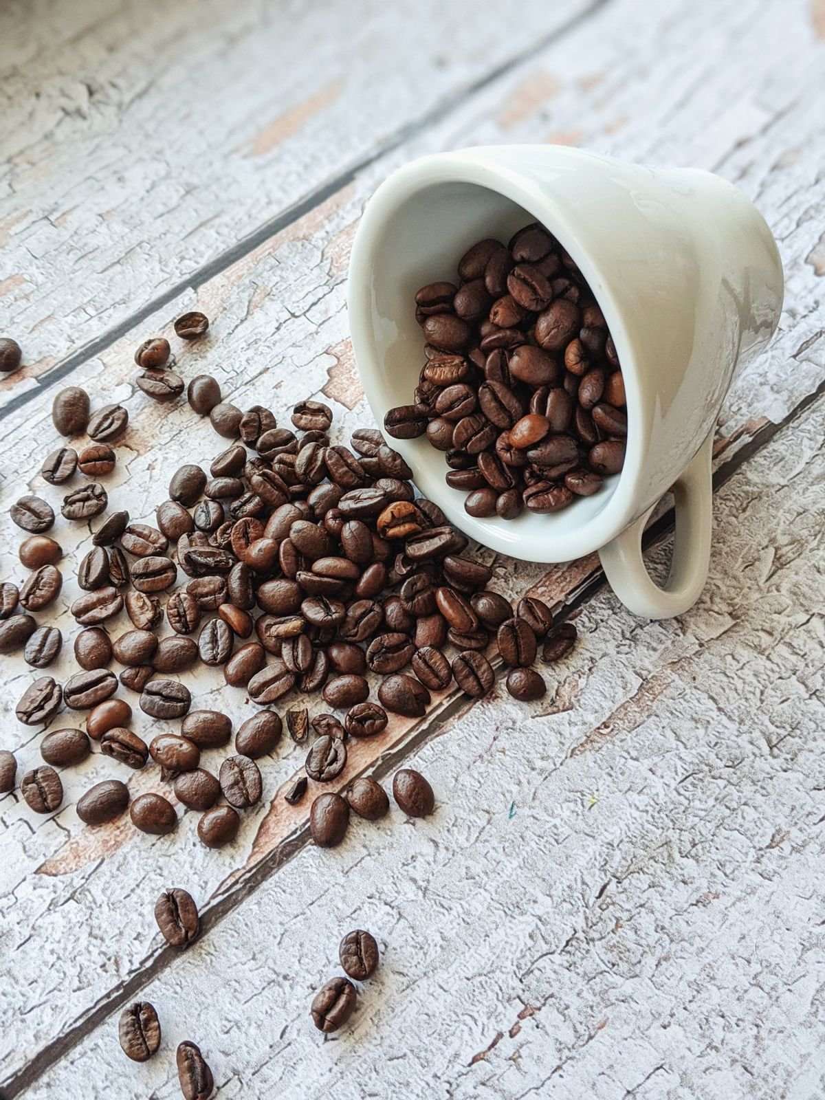 Coffee Lover’s Mug & Beans Kit
